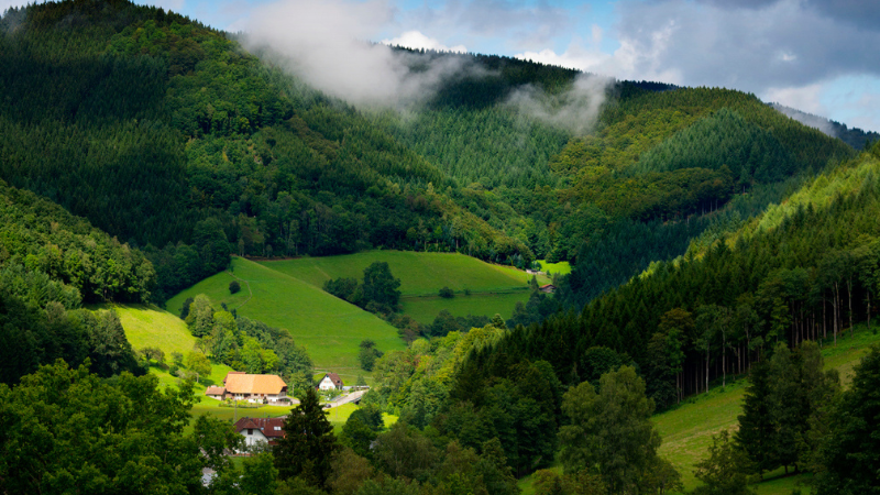 Germany's Top Tourist Destinations / ALYUSAFIR