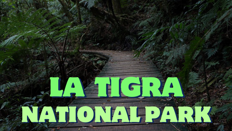 Your Complete Guide to Visiting La Tigra National Park in Honduras / AL YUSAFIR