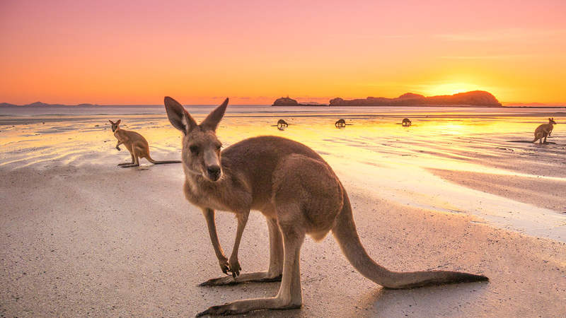 The Top 10 Beaches in Australia,You Must Visit.