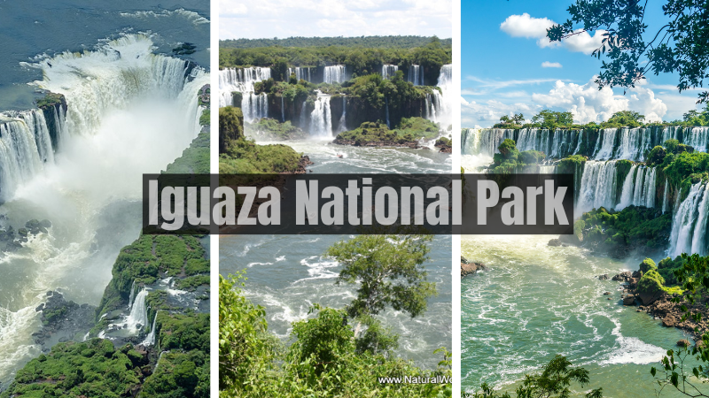 Situated on the borders of Argentina, Brazil, and Paraguay,Iguazu National Park is a paradise./al yusafir