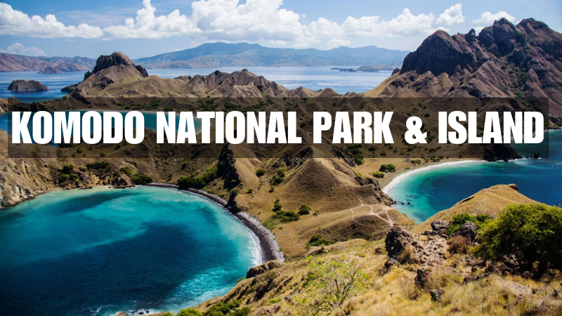 How to Visit Komodo National Park and the Komodo Islands,indonesia